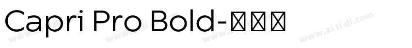 Capri Pro Bold字体转换